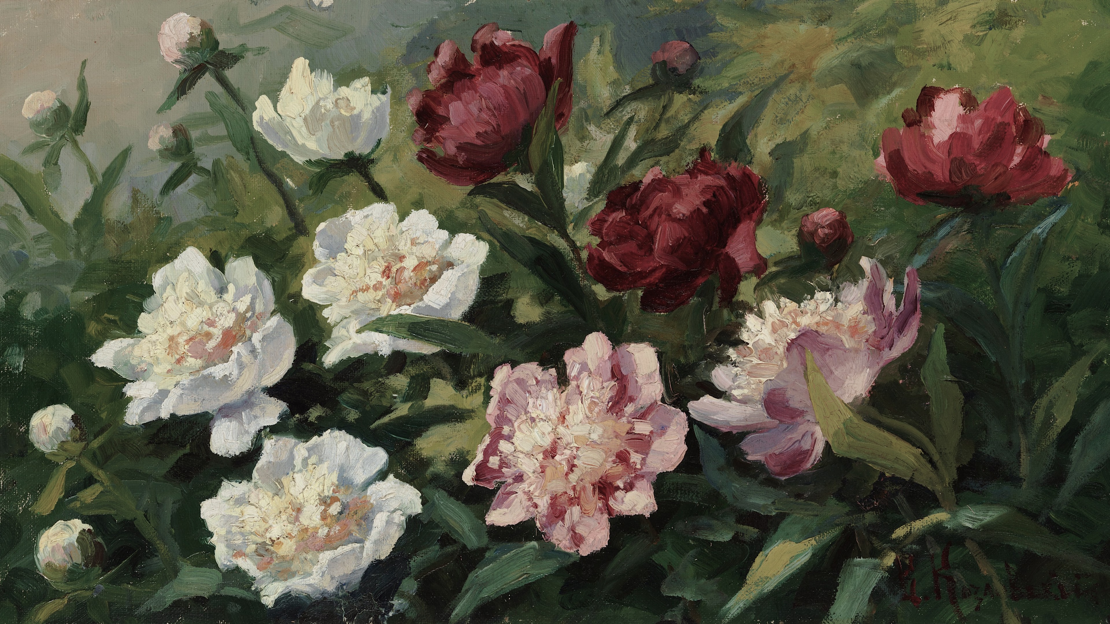 Velvet Peony Haven